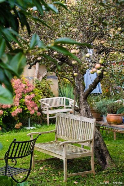 农村庭院怎么设计好看_农村庭院种什么树好