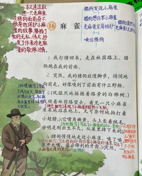 麻雀课文词语有哪些_如何运用麻雀课文词语写作