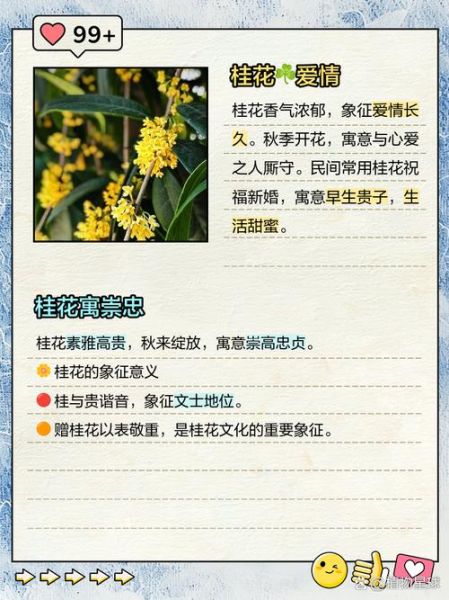 桂花的气味像什么_桂花的气味怎么形容