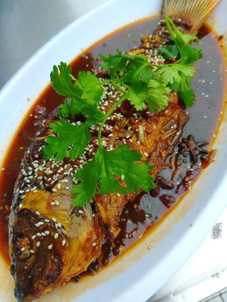 酱焖鱼的家常做法_酱焖鱼怎么做才入味