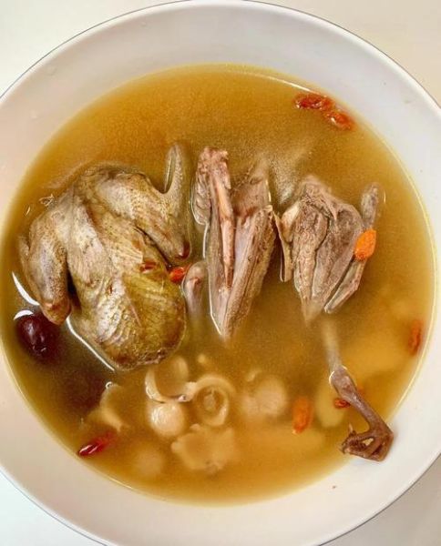 炖鸽子汤的做法视频_鸽子汤怎么炖最营养