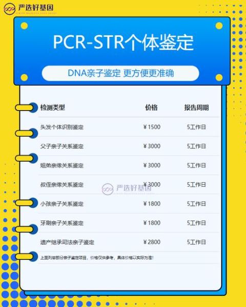 福州移民公司哪家好_福州移民公司费用多少