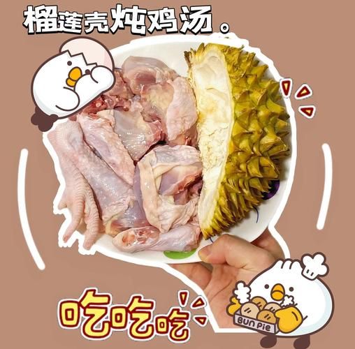 榴莲壳煲鸡汤的做法_榴莲壳煲汤有什么功效