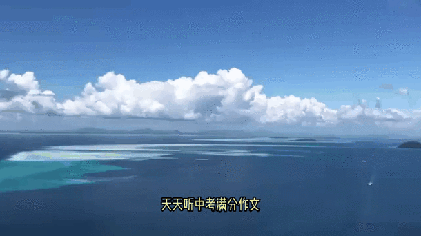 作品动态词语有哪些_如何用在作文里