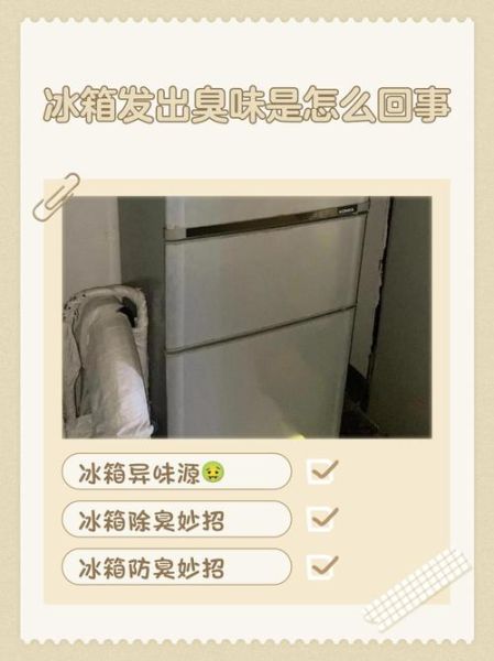 为什么饭菜会有怪味_如何去除冰箱异味
