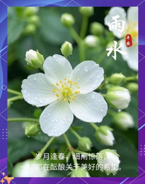 春雨绵绵_春雨有哪些好处