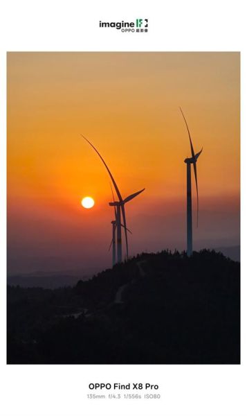 落日对植物生长有什么作用_落日会影响睡眠吗