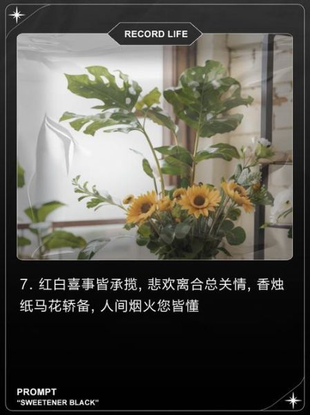 红白色词语有哪些_红白配色文案怎么写