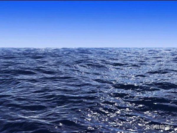 大海为什么是蓝色的_大海颜色变化的原因