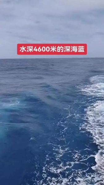 大海为什么是蓝色的_大海颜色变化的原因