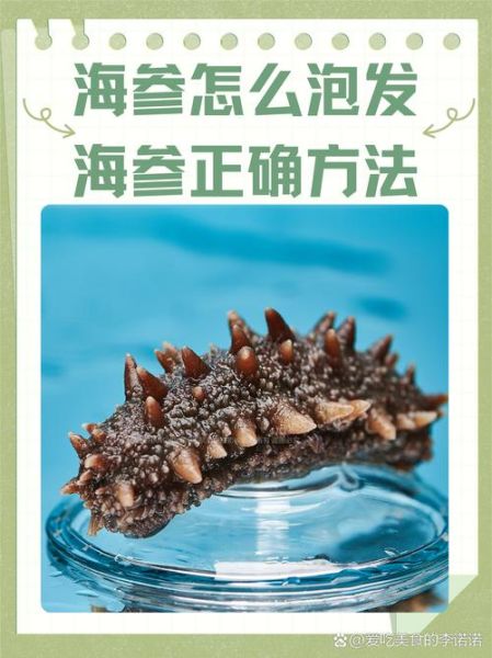 鲜海参怎么泡发_鲜海参的家常做法