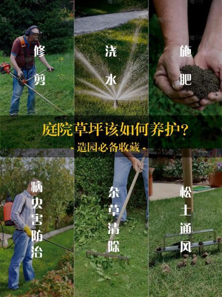 草地树木怎么搭配_草地树木养护技巧