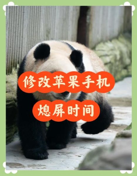 手机时间在哪里设置_安卓和iPhone时间设置步骤