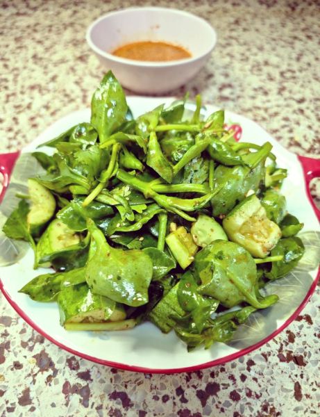 穿心莲凉拌怎么做_穿心莲凉拌要不要焯水