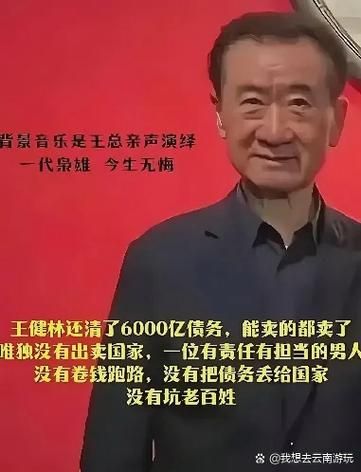 王健林移民了吗_王健林移民传闻真相