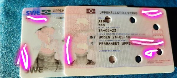 瑞典结婚移民条件_瑞典结婚移民多久拿永居