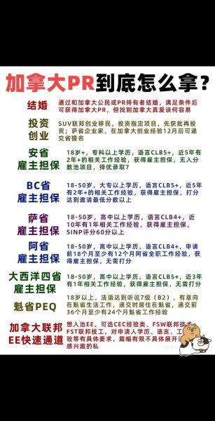 移民加拿大需要哪些条件_移民中介怎么选