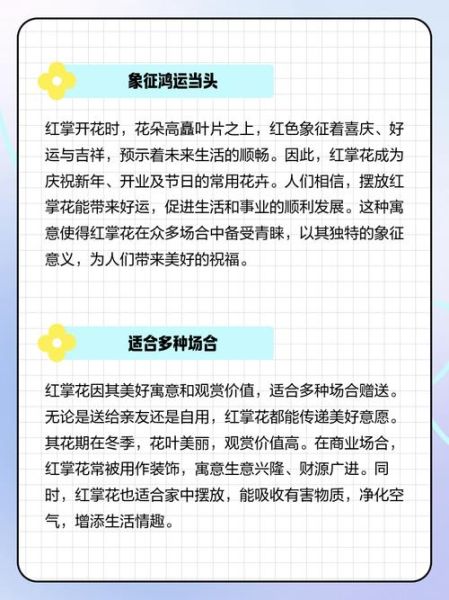 红掌花语是什么_红掌的寓意和象征