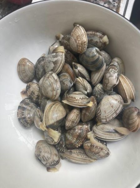 花甲怎么清洗干净_家常花甲做法步骤