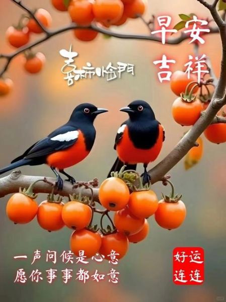 喜鹊报喜是真的吗_喜鹊象征什么寓意