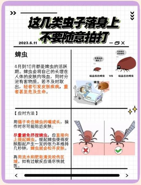夏天的虫有哪些_如何防虫最有效