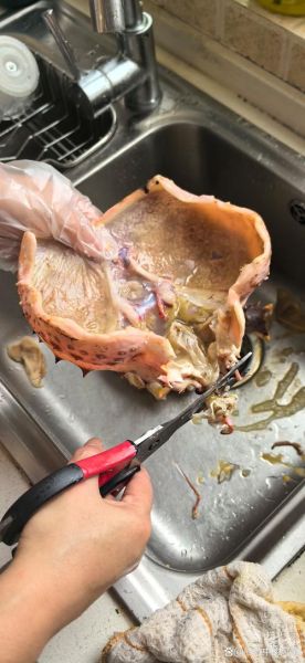 蟹黄蛋怎么做_蟹黄蛋的做法步骤