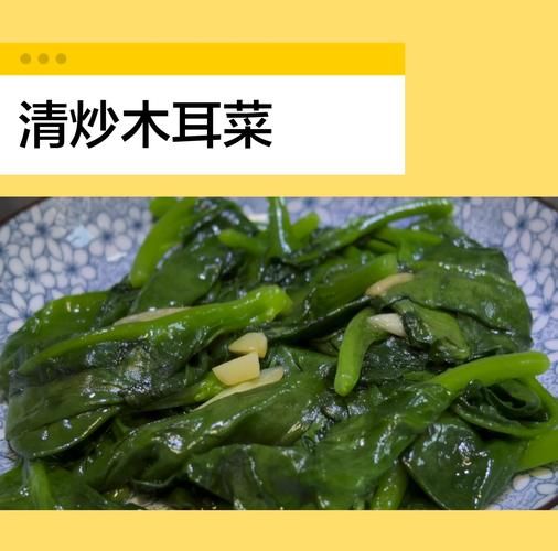 炒木耳菜怎么炒才好吃_木耳菜要不要焯水