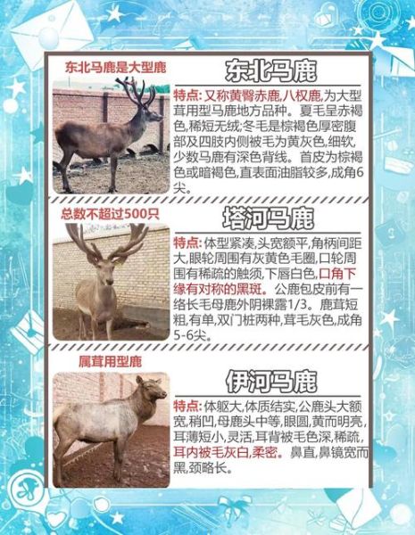 野兽有哪些种类_野兽习性如何分类