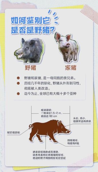 野兽有哪些种类_野兽习性如何分类