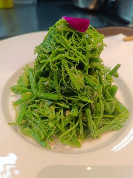 龙须菜怎么泡发_龙须菜凉拌做法