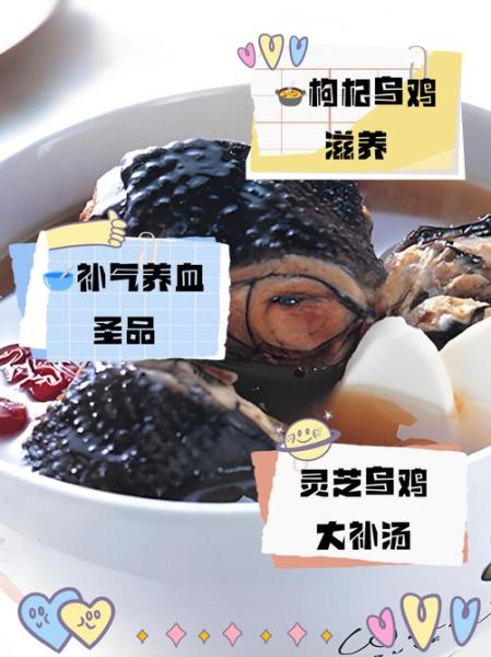 乌鸡怎么炖最补气血_乌鸡煲汤放什么材料