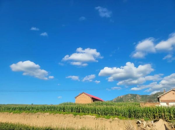 天高气什么_天高气爽是什么意思