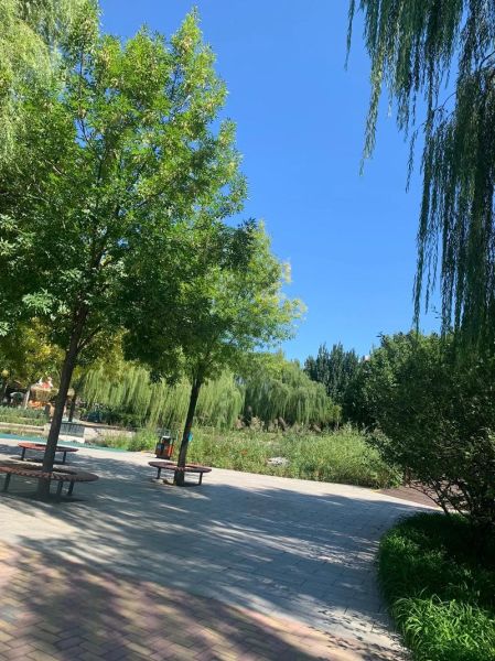 天高气什么_天高气爽是什么意思