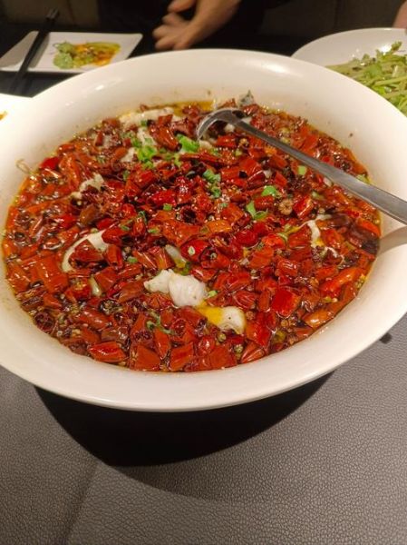 沸腾鱼最正宗的做法_水煮鱼怎么做好吃