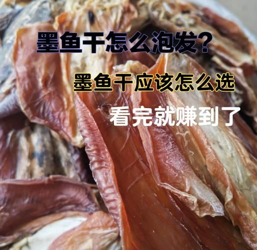 干墨鱼怎么泡发_干墨鱼的做法大全