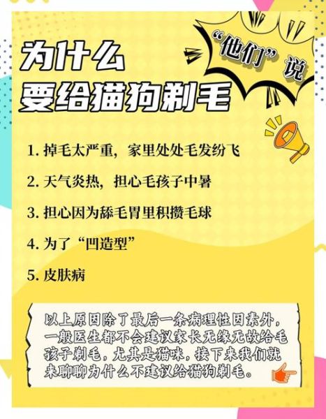 猫狗掉毛怎么办_如何减少家里飞毛