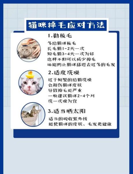 猫狗掉毛怎么办_如何减少家里飞毛