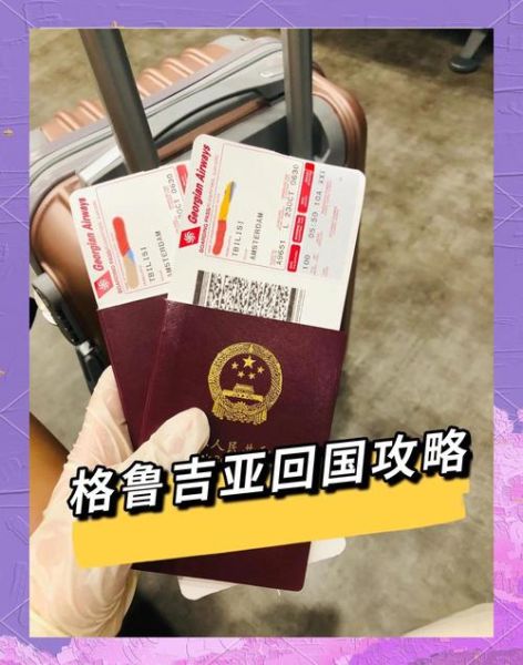 移民后回国需要办什么手续_移民回国流程