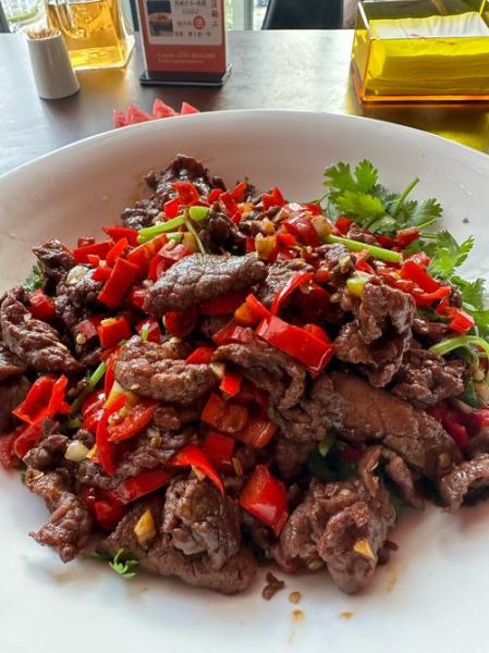 血鸭怎么做才好吃_血鸭最正宗的做法