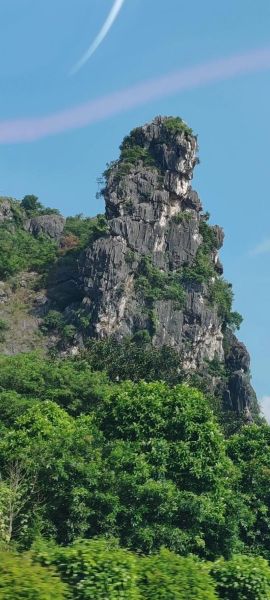 大山深处有什么_大山深处好玩吗