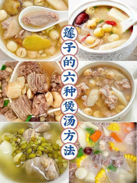 新鲜莲子煲汤做法大全_莲子汤怎么煲才软糯