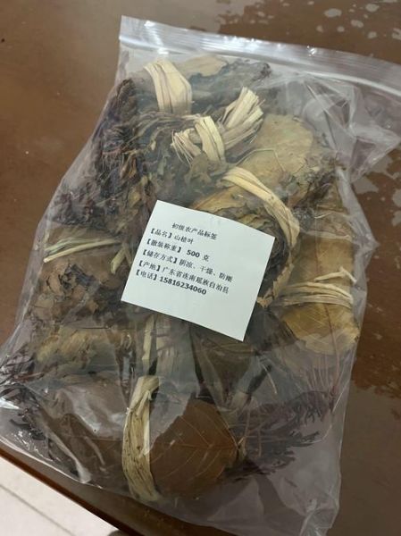 山树叶有什么功效_山树叶可以泡茶吗