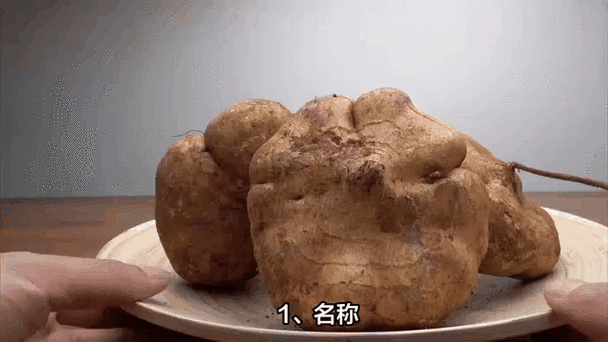 红薯为什么叫地瓜_红薯和地瓜的区别