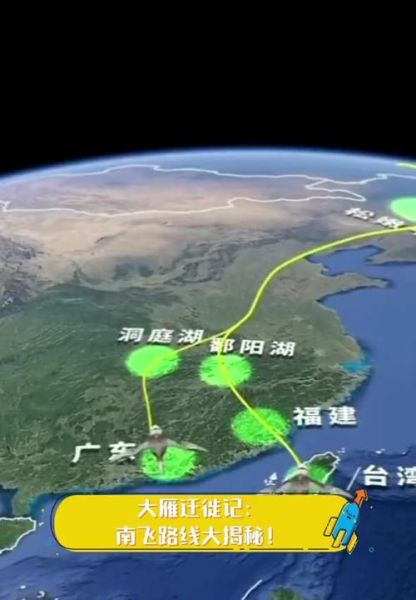 大雁南飞的原因_大雁迁徙路线怎么走