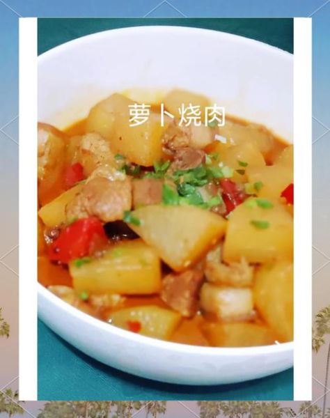 萝卜烧肉怎么做_萝卜烧肉的家常做法