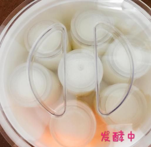 自制酸奶的做法_自制酸奶需要哪些材料