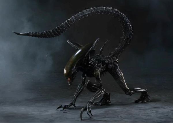 奇形是什么意思_奇形和异形有什么区别