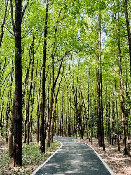 田间小径怎么走_田间小径有什么风景