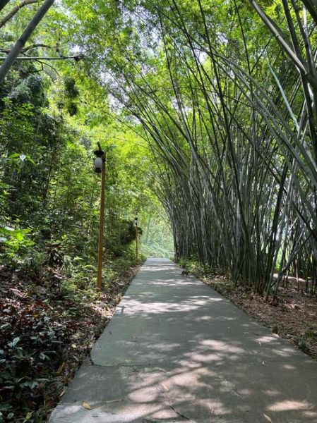 田间小径怎么走_田间小径有什么风景