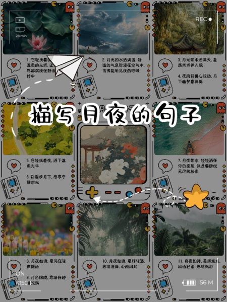 月光形容事物的词语有哪些_月光如何描写景物